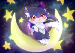  absurd_res ambiguous_gender anthro canid canine deaic detailed_background hi_res kemono mammal moon night paws sitting solo star 