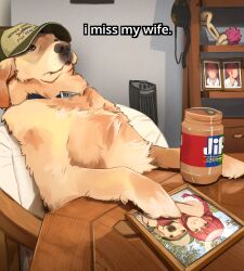  absurdres animal_focus belt_collar brown_eyes canine chainsaw_man collar crying crying_with_eyes_open english_text golden_retriever green_hat hat highres implied_bestiality indoors jar khyle. looking_up makima_(chainsaw_man) meme mewing_(meme) no_humans photo_(object) sitting tears women_want_me_fish_fear_me_(meme) 