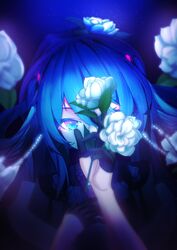  834588648 absurdres black_dress black_gloves blue_background blue_eyes blue_hair commentary dress english_commentary female flower gloves hair_between_eyes half_gloves hatsune_miku highres holding holding_flower jasmine_(flower) long_hair looking_at_viewer miku_with_you_(vocaloid) solo upper_body vocaloid white_flower 