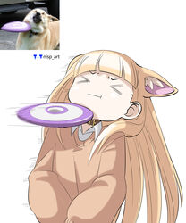  &gt;_&lt; :t absurdres animal_ear_fluff animal_ears artist_logo artist_name blonde_hair blunt_bangs brown_collar canine closed_eyes collar collared_shirt commentary dog_ears dog_girl english_commentary extra_ears female frisbee frisbee_doge_(meme) hair_behind_ear highres long_hair long_sleeves meme motion_blur motion_lines nisp_art orange_sweater original personification photo-referenced photo_inset recoil reference_inset shirt simple_background sweater upper_body v-shaped_eyebrows white_background white_shirt wide_sleeves 