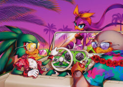  absurd_res anthro bandana car clothing eyewear female gloves group handwear hi_res jet_the_hawk kerchief male plant sega shirt sonic_riders sonic_the_hedgehog_(series) storm_the_albatross sunglasses topwear tree trio v-mordecai vehicle wave_the_swallow 