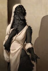  2020 anthro beckoning black_body black_fur black_nose borzoi breasts brown_eyes canid canine canis clothing detailed detailed_fur digital_media_(artwork) domestic_dog female fur gesture head_covering hi_res honovy hunting_dog long_snout mammal realistic realistic_anthro realistic_lighting realistic_shading robe sighthound snout solo 