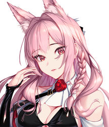  animal_ear_fluff animal_ears arknights bare_shoulders bowlp braid breasts cleavage female hand_up large_breasts long_hair looking_at_viewer parted_lips pink_hair pozyomka_(arknights) red_eyes solo upper_body wolf_ears 