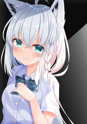  absurdres ahoge animal_ear_fluff animal_ears aogami_high_school_uniform aqua_bow aqua_bowtie aqua_eyes blush bow bowtie braid breasts closed_mouth collared_shirt commentary_request divergenceok dress_shirt eyes_visible_through_hair female fox_ears fox_girl hair_between_eyes hand_on_own_chest highres hololive long_hair looking_at_viewer official_alternate_costume school_uniform shirakami_fubuki shirt short_sleeves single_braid smile solo upper_body virtual_youtuber white_hair white_shirt 