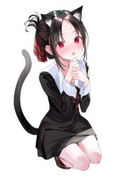  animal_ear_fluff animal_ears bad_id bad_pixiv_id bare_legs black_dress blush breasts brown_footwear cat_ears cat_tail commentary_request dress eyelashes female full_body hair_ribbon highres kaguya-sama_wa_kokurasetai_~tensai-tachi_no_renai_zunousen~ kemonomimi_mode looking_at_viewer nabi_(uz02) neck_ribbon open_mouth parted_bangs red_eyes red_ribbon ribbon school_uniform shinomiya_kaguya shoes short_dress short_hair shuuchiin_academy_school_uniform simple_background small_breasts solo squatting sweat tail thighs white_background wrist_cuffs 