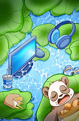  aciag bear giant_panda hi_res leaf male mammal poolside resting sleeping snacks solo 