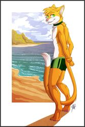  2015 anthro beach border clothing collar detailed_background digital_media_(artwork) domestic_cat felid feline felis gothwolf green_eyes grey_border hi_res male mammal outside sand seaside sky solo summer swimwear 