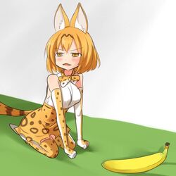  :3 animal_ears banana bare_shoulders blush bob_cut bow bowtie breasts brown_hair cat_doesn&#039;t_like_banana_(meme) clenched_hands commentary elbow_gloves fangs female food from_side fruit gloves half-closed_eyes high-waist_skirt kemono_friends looking_to_the_side medium_breasts meme multicolored_hair open_mouth orange_bow orange_bowtie orange_eyes orange_gloves orange_hair orange_skirt orange_thighhighs parody print_bow print_bowtie print_gloves print_skirt print_thighhighs seiza serval_(kemono_friends) serval_print setia_pradipta shirt short_hair sitting skirt sleeveless sleeveless_shirt solo streaked_hair tail thighhighs two-tone_hair v-shaped_eyebrows white_footwear white_shirt 