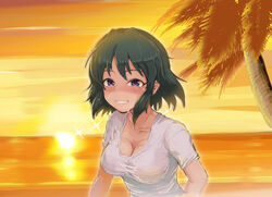  black_hair blush breasts cleavage collarbone commentary_request dark-skinned_female dark_skin female grin highres idolmaster idolmaster_cinderella_girls large_breasts looking_at_viewer megane_chuu natalia_(idolmaster) ocean palm_tree purple_eyes shirt short_hair smile solo sunset t-shirt tree wet wet_clothes wet_shirt 