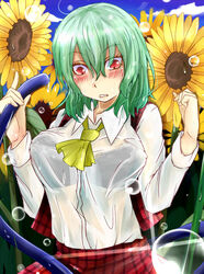  ascot blush bra breasts commentary_request female flower green_hair kazami_yuuka koga_rejini large_breasts lingerie looking_down plaid plaid_vest red_eyes see-through short_hair skirt skirt_set solo sunflower touhou underwear vest water_drop wavy_mouth wet wet_clothes 