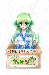  animal_ears bad_id bad_pixiv_id blush box breasts cleavage detached_sleeves female for_adoption frog green_eyes green_hair hair_ornament in_box in_container kemonomimi_mode kochiya_sanae large_breasts long_hair snake solo tail tomcho touhou 