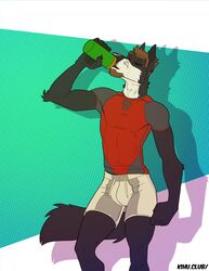  2019 5_fingers anthro aphrodisiac athletic_wear beard black_body black_claws black_fur black_nose black_pawpads bottomwear brown_hair canid canine canis claws closed_eyes clothed clothing drinking facial_hair fingers fully_clothed fur hair kihu male mammal multicolored_body multicolored_fur nex_anima_canis pawpads shirt shorts simple_background solo standing t-shirt tight_clothing topwear two_tone_body two_tone_fur white_body white_fur wolf 