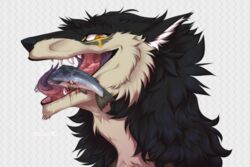  ambiguous_gender anthro blood bodily_fluids body_in_mouth eating fish fluffy forked_tongue fur headshot_portrait hi_res hybrid impalement ishimaurell marine multicolored_body multicolored_fur open_mouth orange_eyes pink_tongue portrait saliva sergal sharp_teeth simple_background solo teeth tongue two_tone_body two_tone_fur white_background 