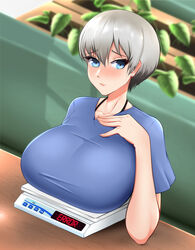  1girls big_breasts blue_eyes blue_shirt blush breasts breasts_on_table clothing eyelashes female female_only fraankyy green_hair hand_on_chest high_resolution huge_breasts human human_only humanoid large_breasts looking_at_viewer nose_blush on_sofa plant pot scale shirt short_hair shy sitting solo solo_female t-shirt table uzaki-chan_wa_asobitai! uzaki_hana very_short_hair voluptuous weighing_breasts weighing_scale 