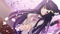  absurdres animal_ears bell black_hair blush bow breasts brown_jacket cat_ears cat_tail cherry_blossoms collar collarbone commentary female fish_hair_ornament hair_ornament hairclip highres indie_virtual_youtuber indoors jacket long_hair looking_at_viewer medium_breasts nari_(narikashi) neck_bell oerba_yun_fang pantyhose pink_bow purple_skirt reikira school_uniform skin_fang skirt solo table tail tail_bow tail_ornament virtual_youtuber 