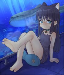  animal_ears aquarium bad_id bad_twitter_id bare_shoulders barefoot bell black_camisole black_hair blue_eyes camisole cat_ears cat_girl earrings expressionless feet female full_body half-closed_eyes highres indoors jewelry knees_together_feet_apart knees_up leg_up legs looking_to_the_side neck_bell on_floor original self-harm_scar soles solo spaghetti_strap stuffed_animal stuffed_fish stuffed_toy syrupmelty toenails toes whale_shark wispy_bangs 