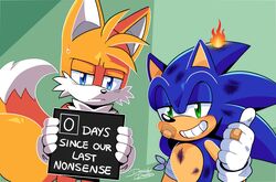  2021 annoyed anthro band-aid bandage blue_eyes canid canine clothing danielasdoodles duo english_text eulipotyphlan fire fox gloves green_eyes handwear hedgehog holding_object holding_sign looking_at_viewer male mammal sega sign signature simple_background smile sonic_the_hedgehog sonic_the_hedgehog_(series) tails teeth text 