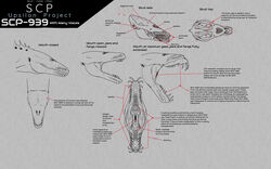  16:10 4_fingers 4_toes ambiguous_gender back_spikes back_spines bird&#039;s-eye_view black_text bone buccinator claws digital_drawing_(artwork) digital_media_(artwork) digitigrade english_text eye_spots eyeless feet feral finger_claws fingers front_view grey_background greyscale hairless hi_res high-angle_view kenneth_crooker latin_text line_art mammal monochrome monster mouth_closed mouth_shot multiple_images muscular muscular_ambiguous muscular_feral open_mouth orthographic quadruped rear_view scp-939 scp_foundation setae_(anatomy) sharp_teeth side_view simple_background skull snout species_name spikes spikes_(anatomy) spines teeth text toe_claws toes white_text widescreen 