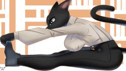  16:9 anthro big_breasts breasts domestic_cat felid feline felis female heating hi_res mammal rizal_ok solo thick_thighs warmup widescreen 