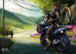  absurd_res anthro armor black_bodysuit black_clothing black_nose black_skinsuit blue_sky bodysuit clothed clothing cloud day digitigrade facial_markings felid fur glistening glistening_eyes grass green_eyes head_markings head_tuft headgear helmet hi_res holding_armor holding_headgear holding_helmet holding_object hufnaar male male_anthro mammal markings motorcycle mouth_closed orange_body orange_fur outside pantherine plant rock skinsuit sky solo striped_body striped_face striped_fur striped_markings striped_tail stripes tail tail_markings tiger tight_clothing tuft vehicle whiskers white_body white_fur 