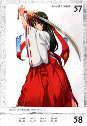  eiwa miko queen&#039;s_blade tagme tomoe 