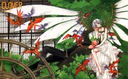  clamp clover kazuhiko suu tagme 