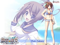  bikini cleavage sakura_yuki score swimsuits wallpaper zettai_maou 