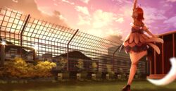  absurdres ahoge arm_up armpits bad_id bad_pixiv_id blurry blurry_foreground brightest_melody building bush cloud detached_sleeves dress female fence from_behind gloves grass highres love_live! love_live!_sunshine!! orange_hair orein outdoors plant potted_plant short_hair sky sleeveless sleeveless_dress solo standing standing_on_one_leg sunset takami_chika thighhighs white_thighhighs zettai_ryouiki 