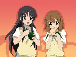  akiyama_mio black_eyes black_hair brown_hair hime_cut hirasawa_yui k-on! long_hair multiple_girls sakuragaoka_high_school_uniform school_uniform short_hair uniform zongzi 