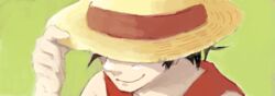  1boy green_background hand_on_hat hand_on_headwear hat hat_over_eyes male male_focus monkey_d_luffy one_piece solo straw_hat vest wide 