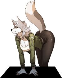  anthro ass bent_over black_nose breasts canid canine canis cervina clothed clothing countershading digital_media_(artwork) female flag fluffy fluffy_tail fully_clothed fur grey_body grey_fur hi_res jacket looking_at_viewer mammal pgm300 raised_tail shaded simple_background solo tail topwear united_states_of_america white_background white_body white_fur wolf yellow_eyes 