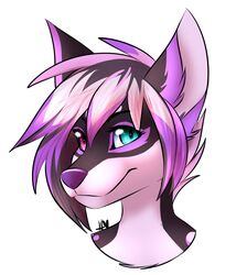  2016 anthro blue_eyes canid canine english_text female fur grey_body grey_fur grey_hair hair heart_symbol heterochromia lilith_nova looking_at_viewer mammal multicolored_hair nude purple_body purple_eyes purple_fur purple_hair purple_nose signature simple_background smile solo spots taykoe text white_background 