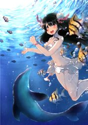  air_bubble barefoot beads bikini black_hair blush bracelet breasts bubble cleavage commentary_request dolphin female fish freediving front-tie_top highres jewelry long_hair medium_breasts mochizuki_usagi moe2016 navel ocean open_mouth original red_eyes sarong solo swimming swimsuit underwater white_bikini 