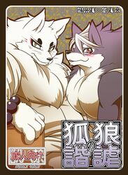  2014 age_restriction anthro blue_body blue_fur blush canid canine canis countershading cover cover_art cover_page duo english_text fox fur gingitsune gintaro male male/male mammal risuou tetsuro text whiskers white_body white_fur wolf 