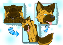  3_fingers 3_panel_comic after_transformation anthro black_nose black_pawpads blue_eyes brown_body brown_fur brown_hair canid canine canis cheek_tuft clothing costume dazed directional_arrow domestic_dog facial_tuft fingers fluffy fluffy_tail fox0808 fur fursuit german_shepherd hair half-closed_eyes half-length_portrait hand_on_head head_tuft herding_dog human human_to_anthro human_wearing_fursuit male mammal mask masking mid_transformation narrowed_eyes pastoral_dog pawpads portrait pyroassassin shaded simple_background simple_shading solo species_transformation standing suit_transformation suiting tail tan_body tan_fur teeth tongue tongue_out transformation tuft zipper 