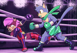  2024 anthro armwear bottomwear boxing boxing_gloves clothing dcheese digital_media_(artwork) domestic_cat duo elbow_gloves eulipotyphlan fan_character felid feline felis female fight fighting_ring gloves handwear hedgehog hi_res legwear male male/female mammal scarf sega skirt sonia_the_hedgehog sonic_the_hedgehog_(series) sonic_underground sport thigh_highs underwear 