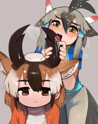  2girls animal_ears bird_tail bird_wings black_hair black_horns blue_shirt breath brown_hair closed_mouth feather_hair_ornament feathers greater_roadrunner_(kemono_friends) grey_background grey_hair grey_tail grey_wings hair_between_eyes hair_ornament hair_tubes head_wings horizontal_pupils horns jacket jpeg_artifacts kemono_friends kemono_friends_2 licking licking_horn multicolored_hair multiple_girls open_clothes open_jacket open_mouth orange_jacket pronghorn_(kemono_friends) raichiyo red_eyes saliva shirt short_hair short_sleeves simple_background smile tail teeth tongue tongue_out unzipped upper_teeth_only white_hair wings yellow_eyes zipper 