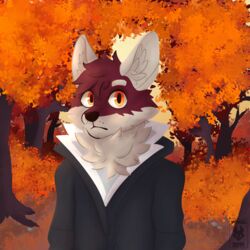  1:1 2019 anthro autumn canid canine canis clothed clothing detailed_background digital_media_(artwork) fluffy forest fur hi_res leaf looking_at_viewer male mammal orange_eyes outside plant red_body red_fur sky solo tree vox_(awoogasm) voxelcubed white_body white_fur wolf 