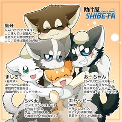  1:1 a-chan ambiguous_gender ayaka blush canid canine canis closed_eyes countershading domestic_dog fuuga group group_picture happy husky hybrid japanese_text kemono kishu_inu kyappy mammal mashiro nordic_sled_dog one_eye_closed posing_for_picture shiba_inu shibeta smile spitz text translated wink wolfdog 