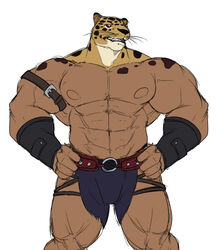  animal_head biceps bottomwear clothing felid feline for_a_head guin guin_saga humanoid hybrid loincloth male mammal muscular muscular_humanoid muscular_male nipples pecs solo yongdasom 