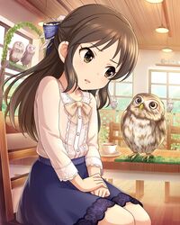  animal bird bow brown_eyes brown_hair chair female hairbow highres idolmaster idolmaster_cinderella_girls indoors knees legs_together long_hair official_art open_mouth owl sitting skirt solo source_request staring staring_contest tachibana_arisu 