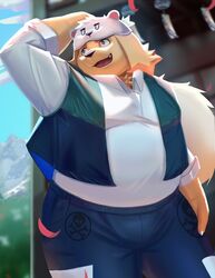  2022 aipangpangdeyua anthro belly big_belly bottomwear canid canine canis clothing cu_sith_(tas) detailed_background domestic_dog hat headgear headwear hi_res humanoid_hands kemono lifewonders male mammal outside overweight overweight_male pants shirt solo tokyo_afterschool_summoners topwear 