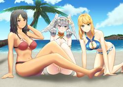  3girls absurdres ahoge ass barefoot beach between_legs bikini black_hair blonde_hair blue_eyes blush breasts brown_eyes day fiora_(xenoblade) green_eyes grey_hair hair_ornament hand_between_legs hand_up head_wings highres kneeling large_breasts looking_at_viewer medium_breasts melia_antiqua multiple_girls outdoors palm_tree sharla_(xenoblade) sitting smile soles swimsuit toes tree water white_wings wings xenoblade_chronicles_(series) xenoblade_chronicles_1 zibundazenbu 