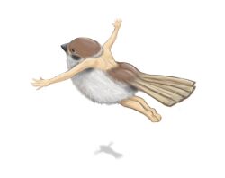  animal animal_focus ao_usagi back bare_shoulders barefoot bird chimera commentary eurasian_tree_sparrow feathers flying from_above no_humans original outstretched_arms role_reversal shadow simple_background solo sparrow spread_arms what white_background 