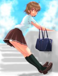  ahoge bag brown_eyes brown_hair commentary_request denpa_onna_to_seishun_otoko female mifune_ryuuko panties pantyshot pleated_skirt school_uniform short_hair skirt smile solo stairs tondabayashi underwear wall white_panties 