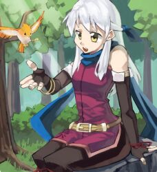  animal bare_shoulders belt bird detached_sleeves fire_emblem fire_emblem:_akatsuki_no_megami micaiah pantyhose scarf silver_hair yellow_eyes 