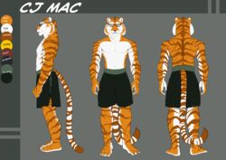  absurd_res anthro bottomwear clothed clothing digital_media_(artwork) eyewear felid glasses hi_res male mammal model_sheet muscular muscular_anthro muscular_male pantherine sabrotiger shorts solo tiger topless yoyofreakcj_(character) 