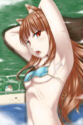  absurdres animal_ears armpits arms_behind_head beach blush breasts brown_hair cloud commentary_request destruction female giant giantess highres holo long_hair lying medium_breasts navel open_mouth red_eyes shore solo spice_and_wolf swimsuit terada_ochiko underboob water wolf_ears 