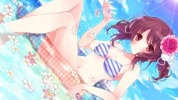  :o bikini blush breasts brown_hair cleavage cloud day dutch_angle female flower hair_flower hair_ornament highres holding innertube lass_(company) lens_flare light_rays medium_breasts moriyama_shijimi navel partially_submerged photoshop_(medium) red_eyes shoujo_shin&#039;iki_shoujo_tengoku solo striped_bikini striped_clothes sun sunbeam sunlight swim_ring swimsuit tsukamine_miori twintails water wet 