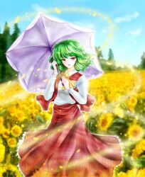  ascot blue_sky blurry buttons cloud commentary_request day depth_of_field female flower garden_of_the_sun green_hair highres horizon kazami_yuuka leaf light_particles lips long_skirt long_sleeves looking_at_viewer parasol parted_lips petals plaid plaid_skirt plaid_vest red_eyes short_hair skirt sky solo sunflower touhou tree tsukiori_sasa umbrella vest wind 